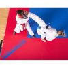 Татамі ProGame WKF Approved від Trocellen для занять карате 20  мм (ластівчин хвіст), 1 х 1 м