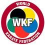 Татамі ProGame WKF Approved від Trocellen для занять карате 20  мм (ластівчин хвіст), 1 х 1 м